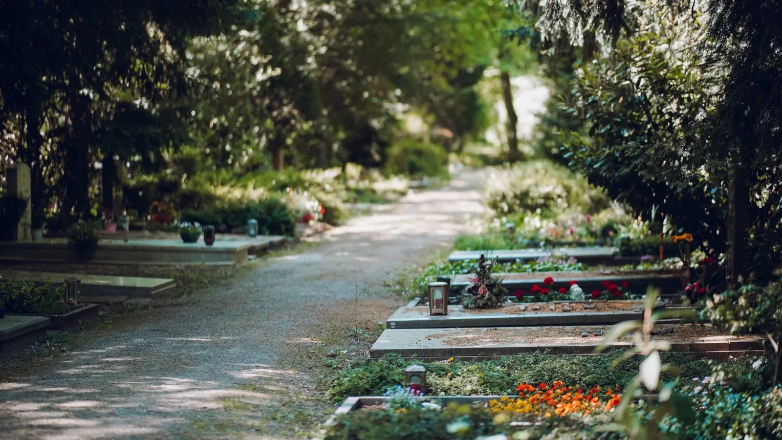Weg zwischen bepflanzten Gräbern auf dem Friedhof